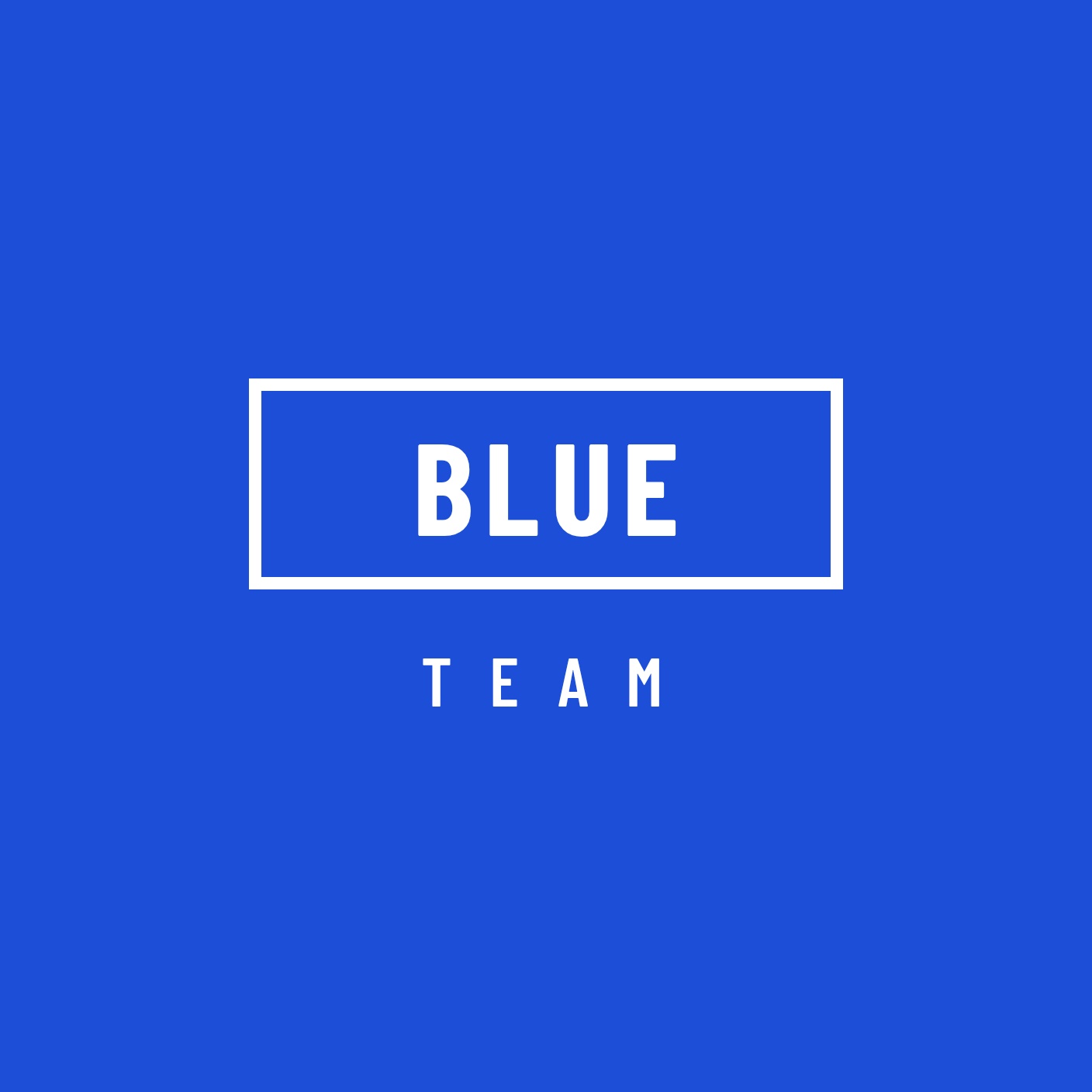 Blue Team